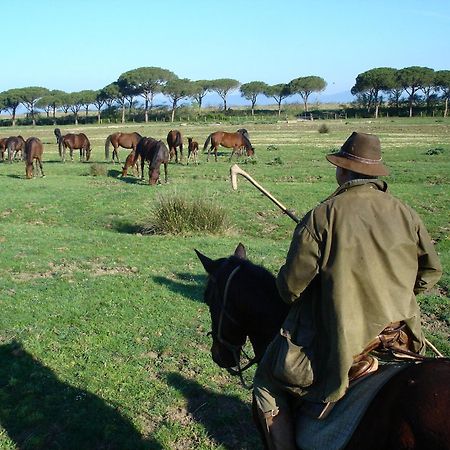 Agriturismo Biologico Sant'Egle San Quirico  Exterior foto